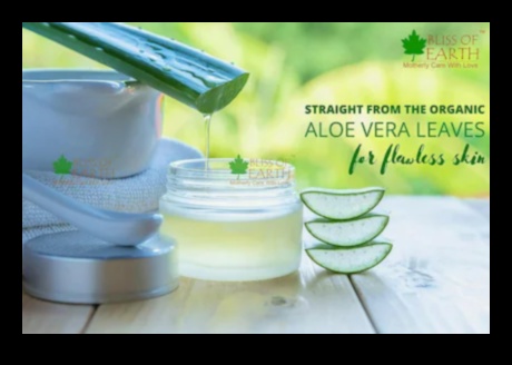 Saf ve Canlandırıcı: Aloe Vera Bliss ile Gününüzü Güzelleştirin