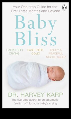 Baby Bliss Temelleri Yenidoğanınız İçin İhtiyacınız Olan Temel Ekipmanlara İlişkin Pratik Bir Kılavuz